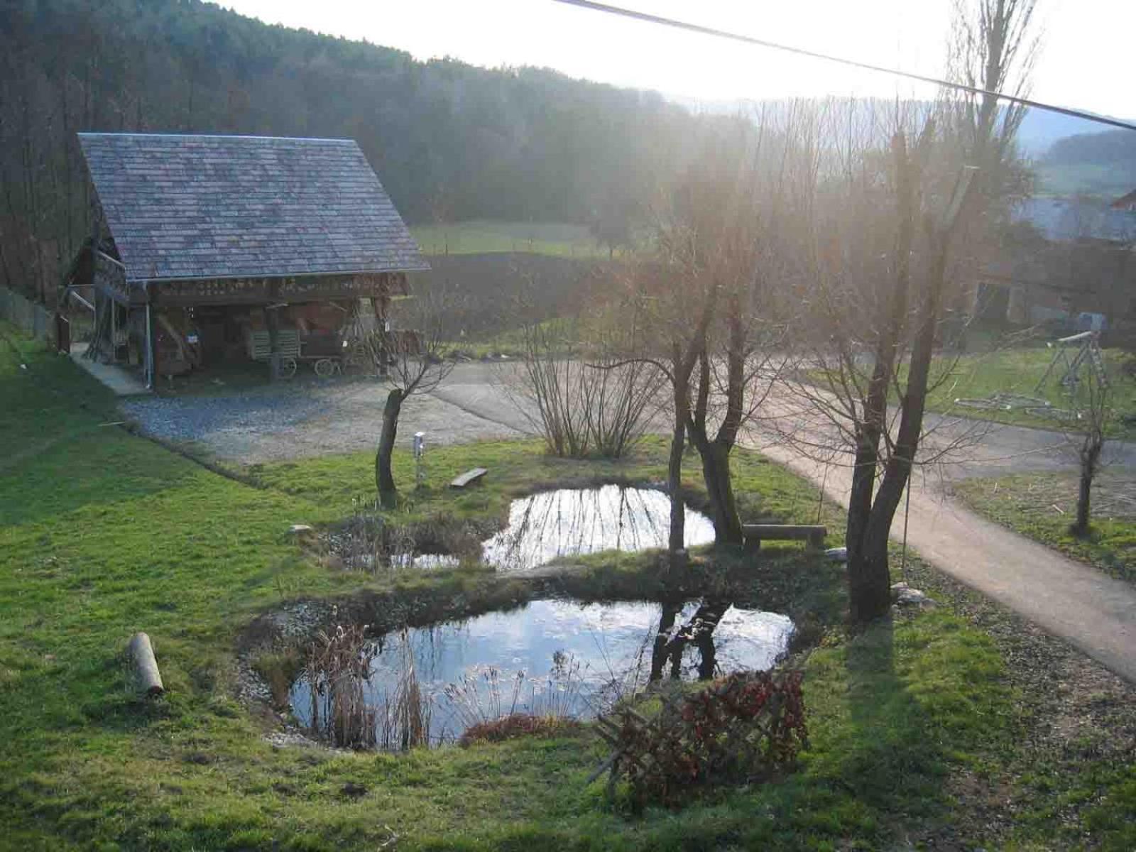 Turisticna Kmetija Cebelji Gradic Apartamento Rogašovci Exterior foto