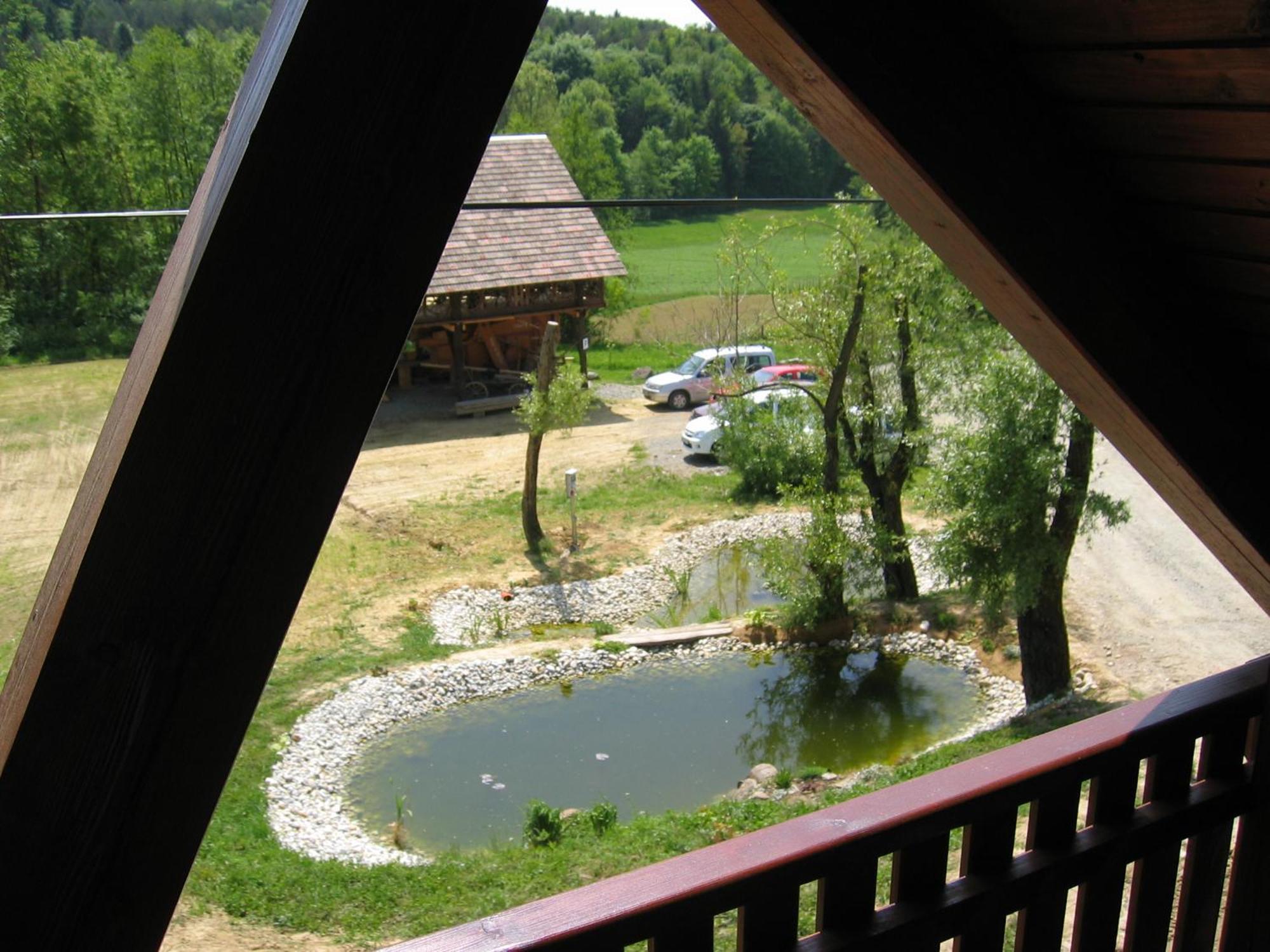 Turisticna Kmetija Cebelji Gradic Apartamento Rogašovci Exterior foto