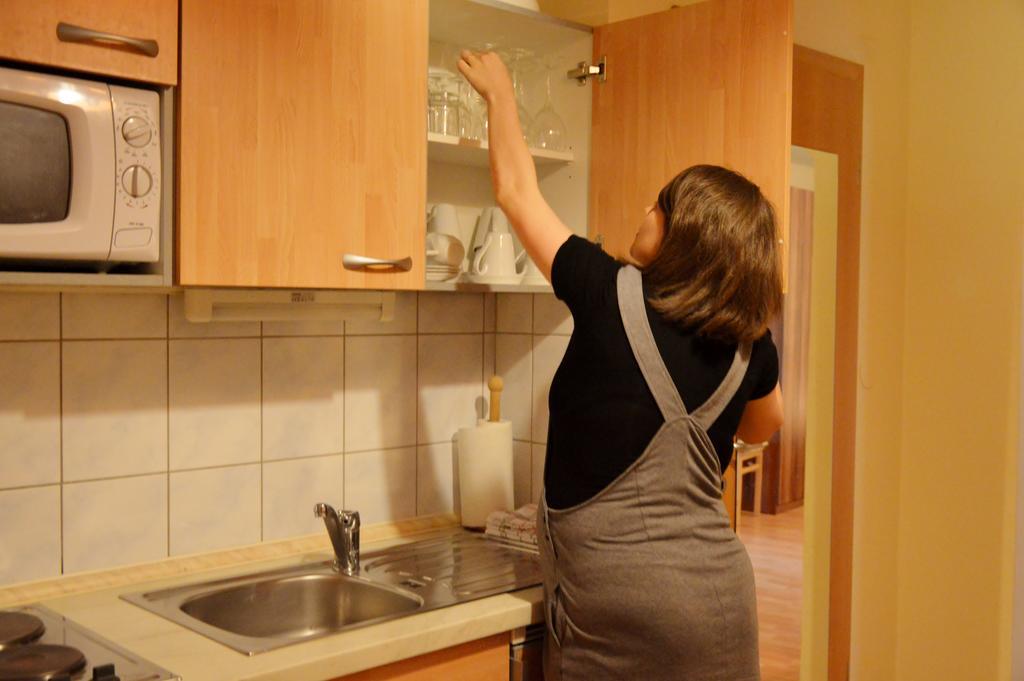 Turisticna Kmetija Cebelji Gradic Apartamento Rogašovci Exterior foto